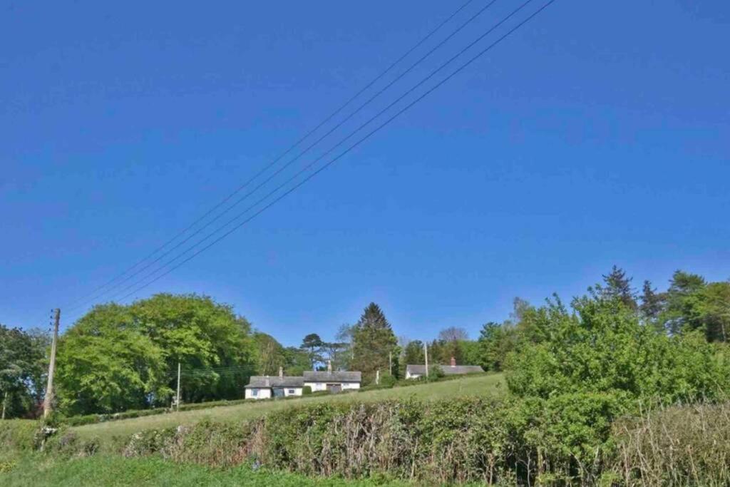 Hilltop Cottage Thropton Bagian luar foto